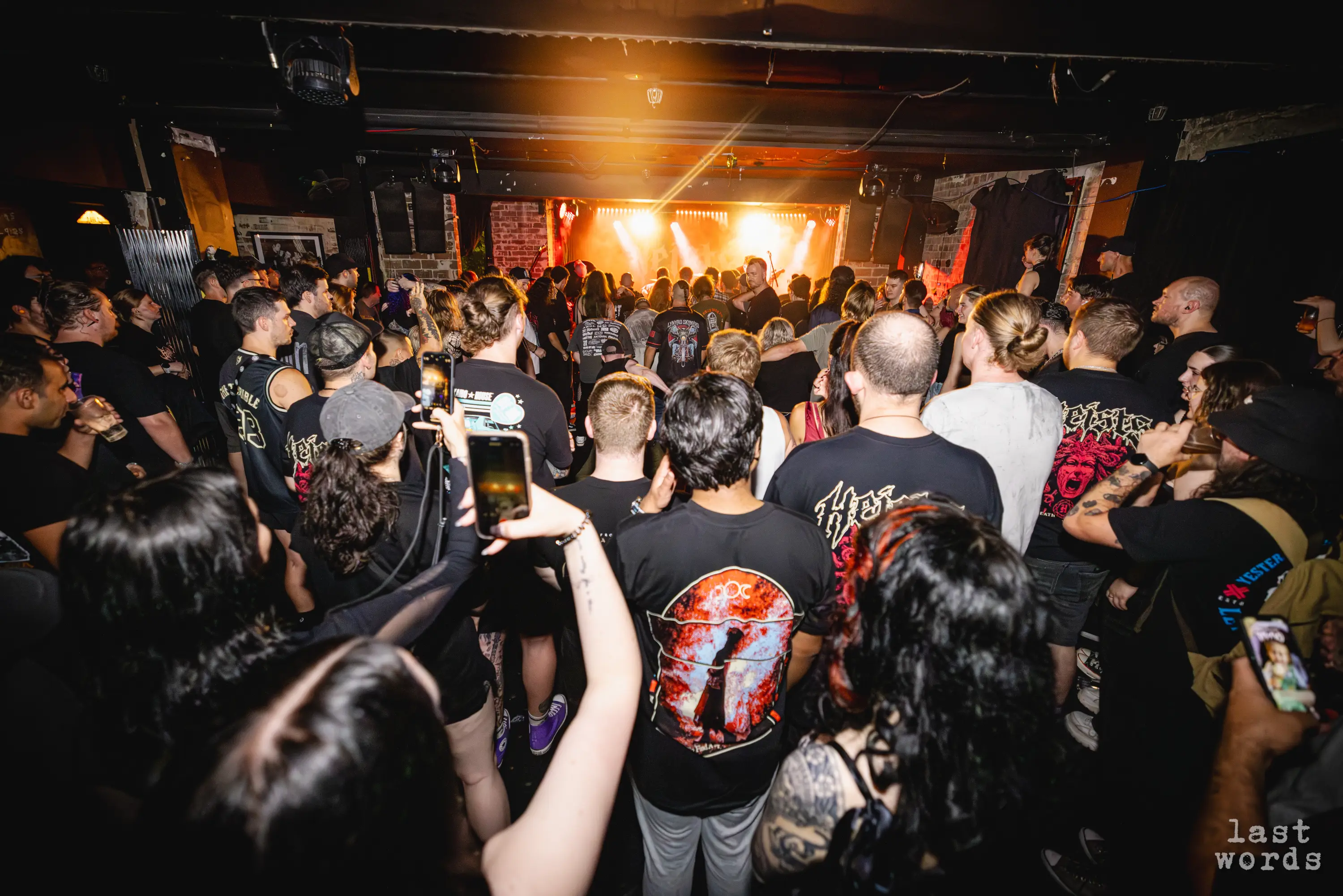 BLACK ROSE CO show